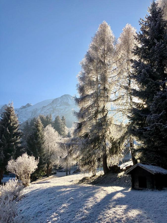 Chambres D'Hotes - B&B - Chalet Mountain Vibes Les Houches Exterior photo