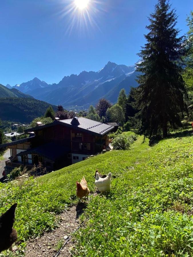 Chambres D'Hotes - B&B - Chalet Mountain Vibes Les Houches Exterior photo